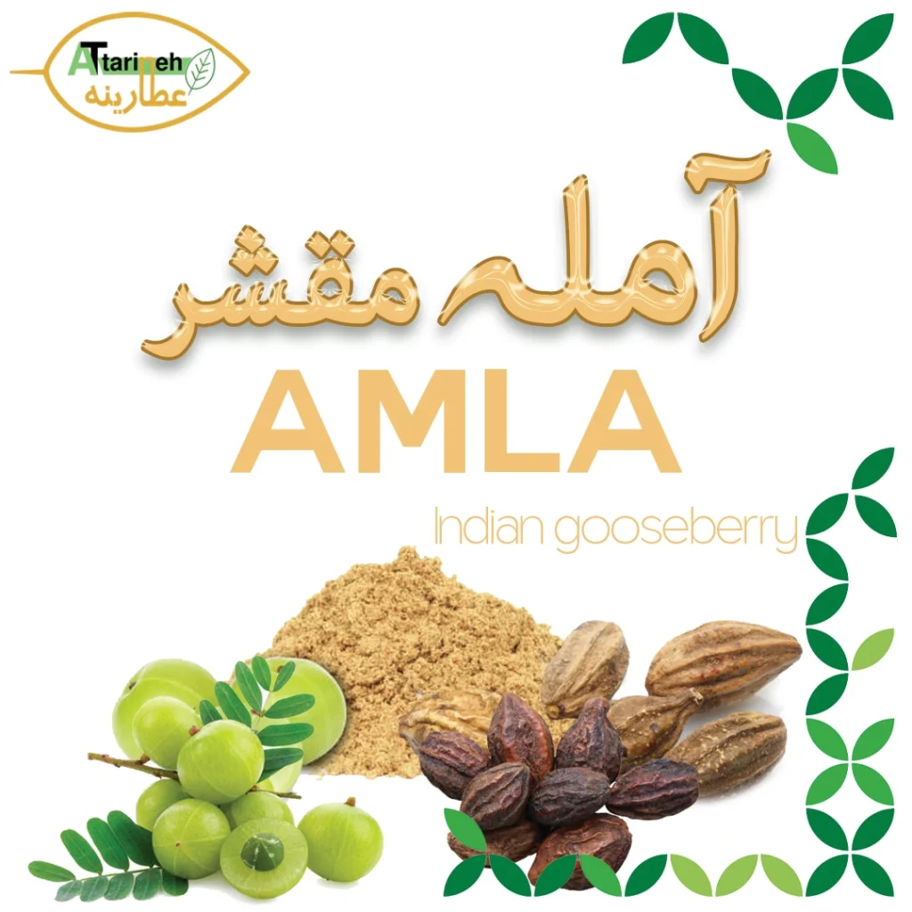 31. آمله مقشر