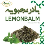 بادرنجبویه