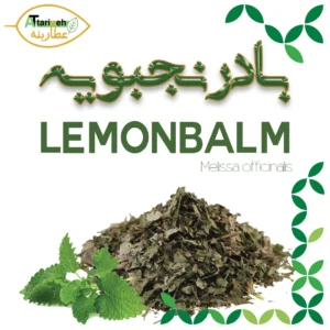 بادرنجبویه