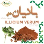 بادیان ختایی