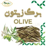 برگ زیتون
